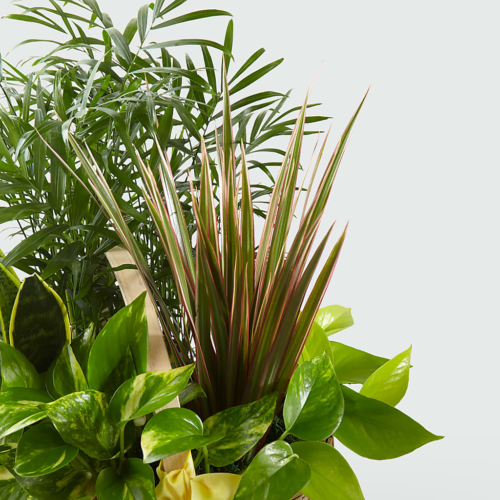 French Garden – Floral Designs Atlanta Llc, Atlanta GA