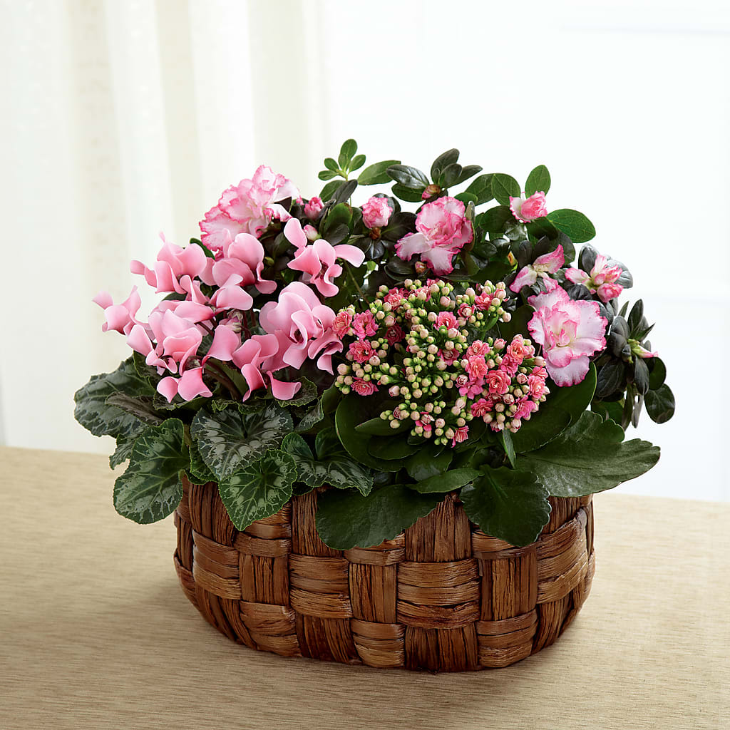 Pink Assortment – Floral Designs Atlanta Llc, Atlanta GA