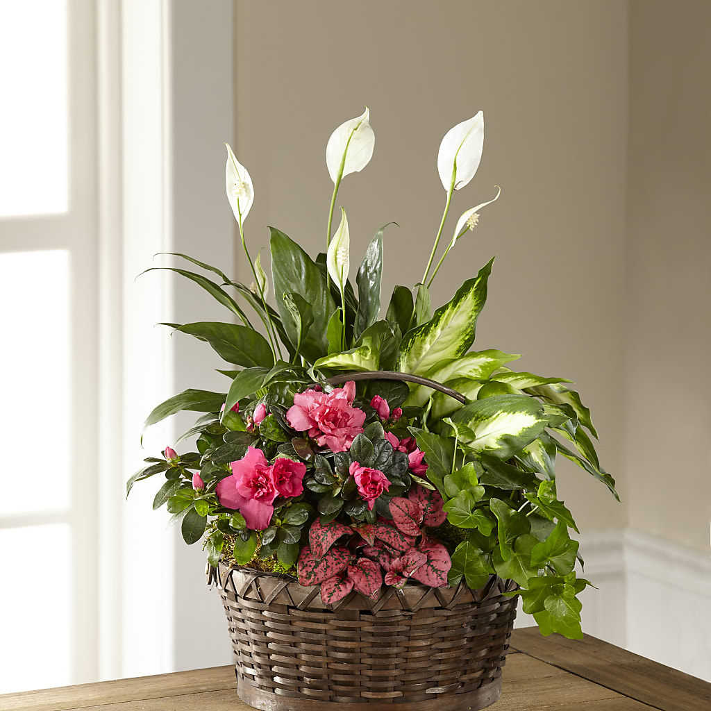 Dream in Pink Dishgarden – Floral Designs Atlanta Llc, Atlanta GA