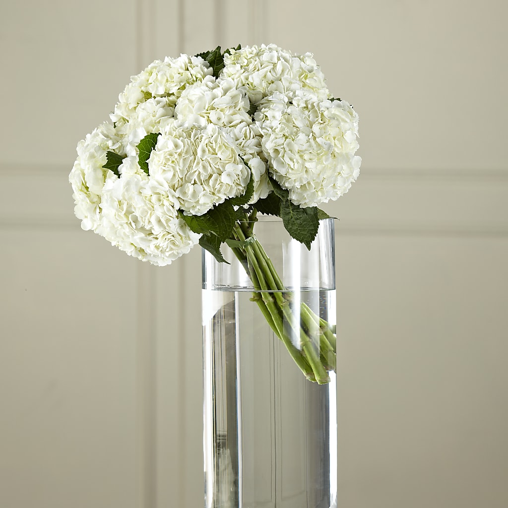 White Hydrangea Hand-Tied Bouquet – Floral Designs Atlanta Llc, Atlanta GA