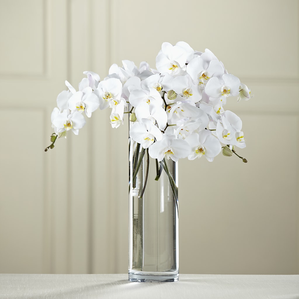 White Phalaenopsis Bouquet – Floral Designs Atlanta Llc, Atlanta GA