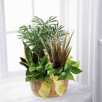 French Garden –  Floral Designs Atlanta Llc, Atlanta GA