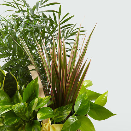 French Garden –  Floral Designs Atlanta Llc, Atlanta GA
