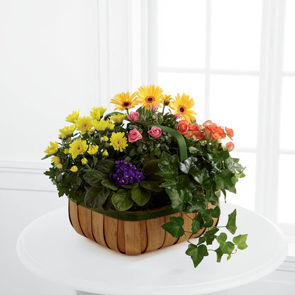 Gentle Blossoms Basket –  Floral Designs Atlanta Llc, Atlanta GA