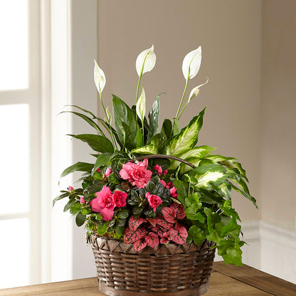 Dream in Pink Dishgarden –  Floral Designs Atlanta Llc, Atlanta GA
