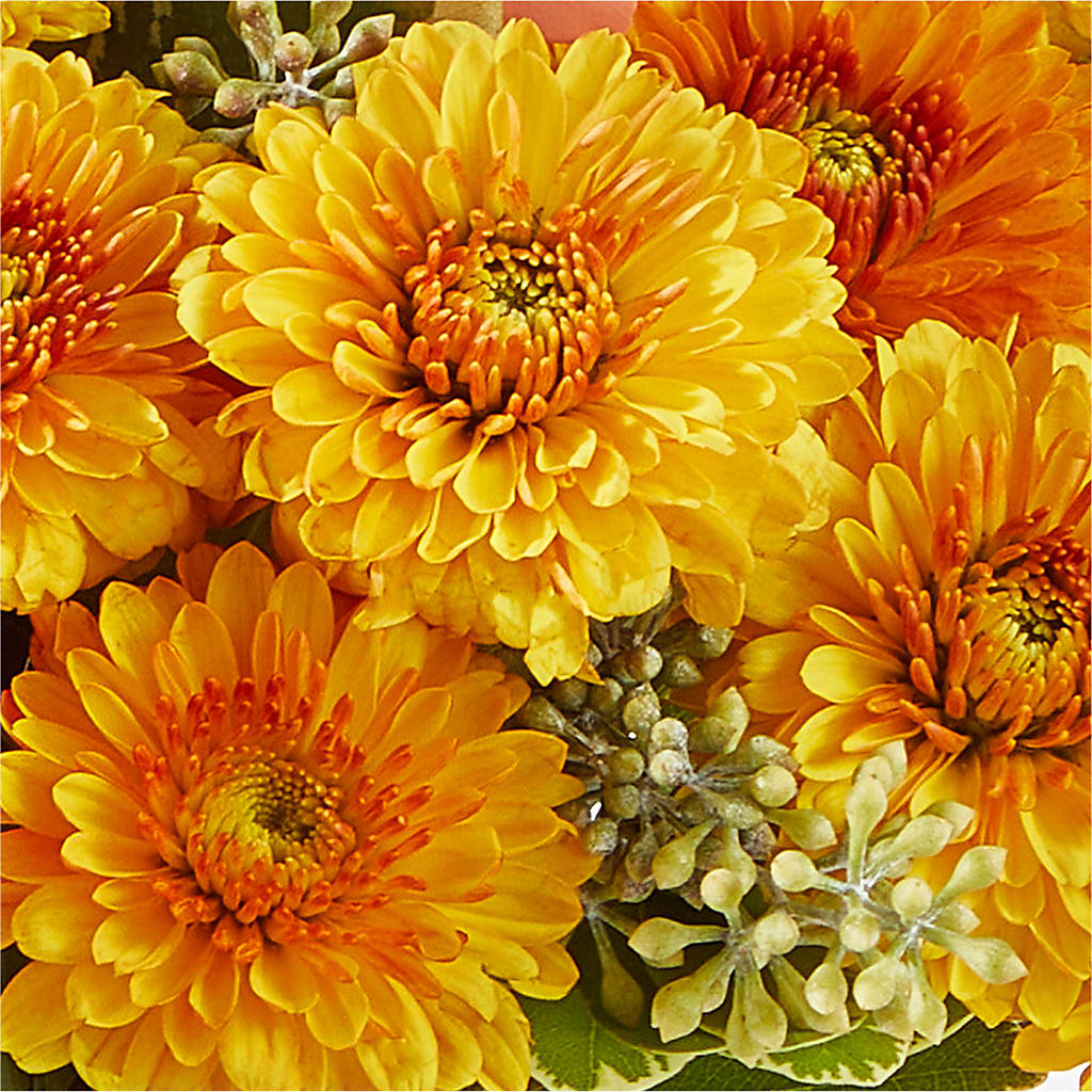 Peachy Pumpkin –  Floral Designs Atlanta Llc, Atlanta GA