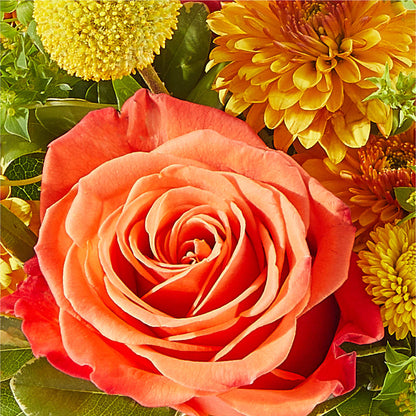 Gourdgeous Pumpkin –  Floral Designs Atlanta Llc, Atlanta GA