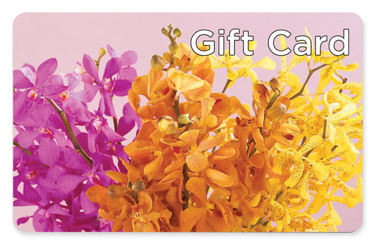 Gift Card –  Floral Designs Atlanta Llc, Atlanta GA