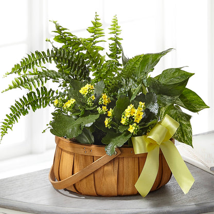 Always Dear Dishgarden –  Floral Designs Atlanta Llc, Atlanta GA