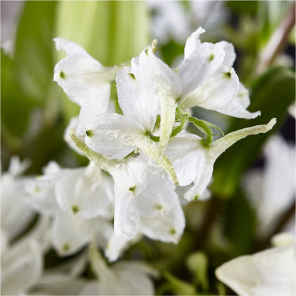 Classic Ivory – A Florist Original –  Floral Designs Atlanta Llc, Atlanta GA