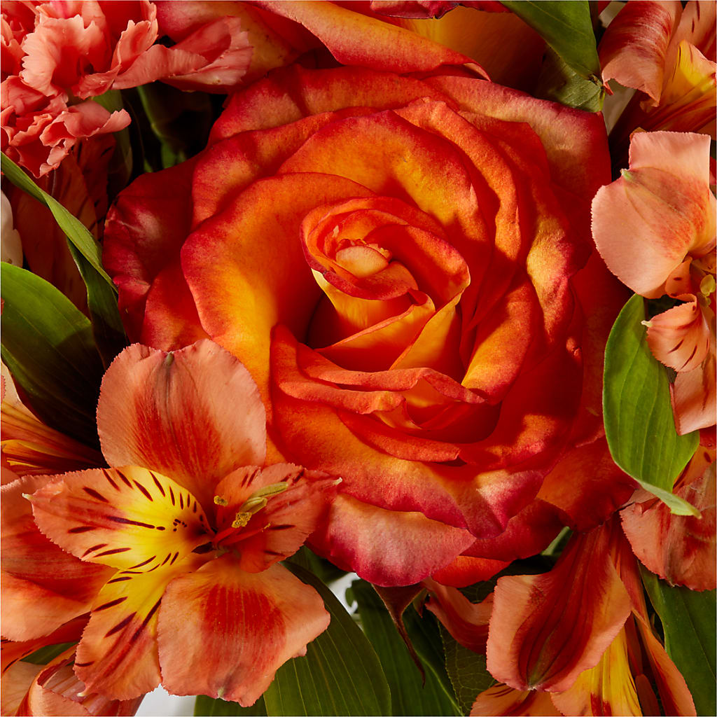 Apricot Glow Bouquet –  Floral Designs Atlanta Llc, Atlanta GA