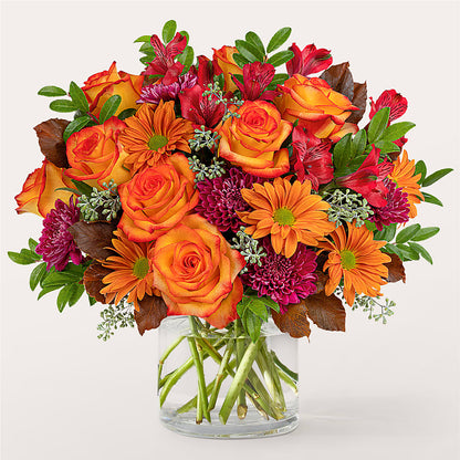 Bouquet Matinal Tonifiant