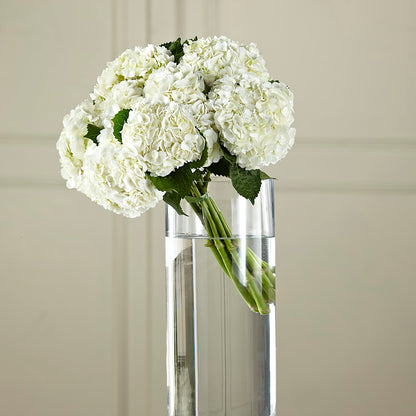 White Hydrangea Hand-Tied Bouquet –  Floral Designs Atlanta Llc, Atlanta GA