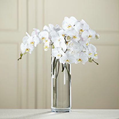 White Phalaenopsis Bouquet –  Floral Designs Atlanta Llc, Atlanta GA